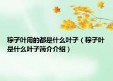 粽子叶用的都是什么叶子（粽子叶是什么叶子简介介绍）