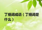 丁组词成语（丁组词是什么）