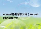 annual的名词怎么写（annual的名词是什么）