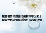 魔兽世界怀旧服塔纳利斯怎么去（魔兽世界塔纳利斯怎么去简介介绍）