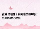 张良 过墙梯（张良计过墙梯是什么意思简介介绍）