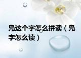凫这个字怎么拼读（凫字怎么读）
