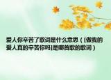 爱人你辛苦了歌词是什么意思（[做我的爱人真的辛苦你吗]是哪首歌的歌词）