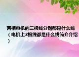 两相电机的三根线分别都是什么线（电机上3根线都是什么线简介介绍）