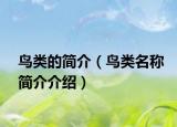 鸟类的简介（鸟类名称简介介绍）