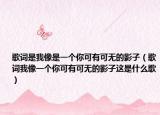 歌词是我像是一个你可有可无的影子（歌词我像一个你可有可无的影子这是什么歌）