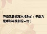 尹南风是哪部电视剧的（尹南方是哪部电视剧的人物）