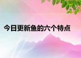 今日更新鱼的六个特点