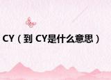CY（到 CY是什么意思）