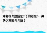 刘老根3各集简介（刘老根3一共多少集简介介绍）