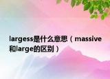 largess是什么意思（massive和large的区别）