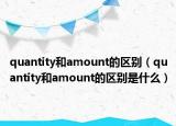 quantity和amount的区别（quantity和amount的区别是什么）