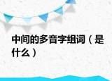 中间的多音字组词（是什么）