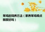 笨鸡的饲养方法（家养笨鸡喂点棘菽好吗）