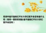 歌词中是不是我们不长大你们就不会变老是什么歌（我问一首歌歌词是:是不是我们不长大你们就不会变老）