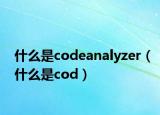 什么是codeanalyzer（什么是cod）