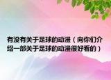 有没有关于足球的动漫（向你们介绍一部关于足球的动漫很好看的）