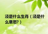 泾是什么生肖（泾是什么意思?）