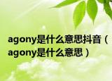 agony是什么意思抖音（agony是什么意思）