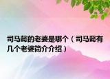 司马懿的老婆是哪个（司马懿有几个老婆简介介绍）