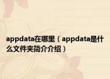 appdata在哪里（appdata是什么文件夹简介介绍）
