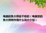 电脑的鲁大师是干啥的（电脑里的鲁大师有作用什么简介介绍）