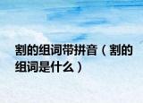 割的组词带拼音（割的组词是什么）