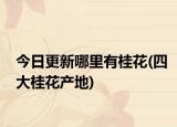 今日更新哪里有桂花(四大桂花产地)