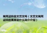 掩耳盗铃是文言文吗（文言文掩耳盗铃的寓意是什么简介介绍）