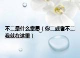 不二是什么意思（你二或者不二我就在这里）