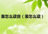 銮怎么读音（銮怎么读）