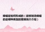 蜂蜡是如何形成的（能够制造蜂蜡的是哪种类型的蜜蜂简介介绍）