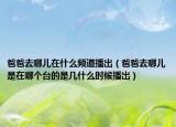 爸爸去哪儿在什么频道播出（爸爸去哪儿是在哪个台的是几什么时候播出）