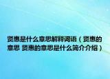 贤惠是什么意思解释词语（贤惠的意思 贤惠的意思是什么简介介绍）
