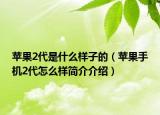 苹果2代是什么样子的（苹果手机2代怎么样简介介绍）
