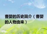 曹婴的历史简介（曹婴的人物由来）