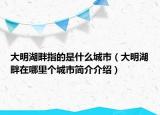 大明湖畔指的是什么城市（大明湖畔在哪里个城市简介介绍）
