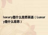 luxury是什么意思英语（Luxury是什么意思）