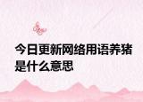 今日更新网络用语养猪是什么意思