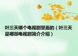 叶三天哪个电视剧里面的（叶三天是哪部电视剧简介介绍）