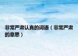 非常严肃认真的词语（非常严肃的意思）