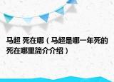 马超 死在哪（马超是哪一年死的死在哪里简介介绍）