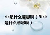 ris是什么意思啊（Risk是什么意思啊）