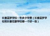 长春蓝梦学校一年多少学费（长春蓝梦学校和长春花都学校哪一个好一些）