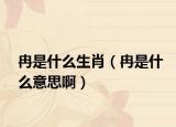 冉是什么生肖（冉是什么意思啊）
