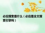 必应搜索是什么（必应是全文搜索引擎吗）