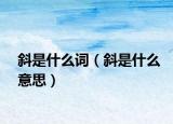 斜是什么词（斜是什么意思）