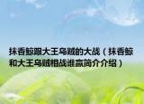 抹香鲸跟大王乌贼的大战（抹香鲸和大王乌贼相战谁赢简介介绍）
