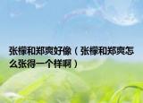 张檬和郑爽好像（张檬和郑爽怎么张得一个样啊）