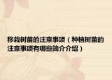 移栽树苗的注意事项（种植树苗的注意事项有哪些简介介绍）